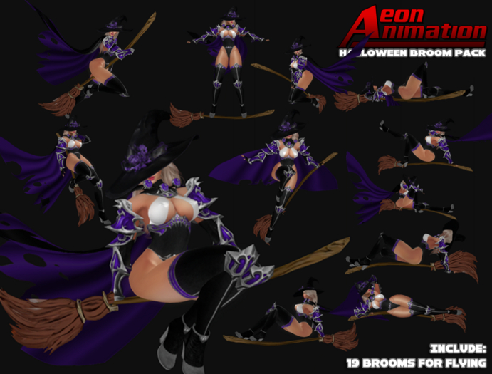 Halloween Broom witch