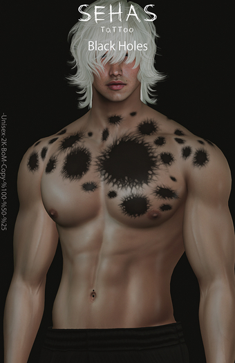 ::SEHAS::TaTToo Black Holes