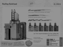 48. Rooftop Bulkhead / DEMO