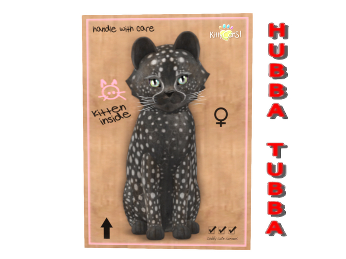 KittyCatS Box - NostalgiCatS! - Cheetah