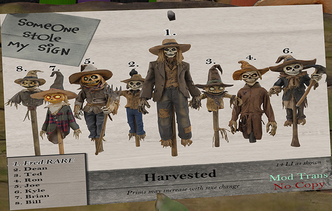 SSMS - 1.Harvested Fred RARE