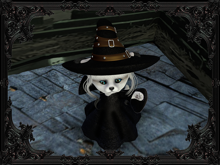 DEMO-Witch costume-Dinkie bag