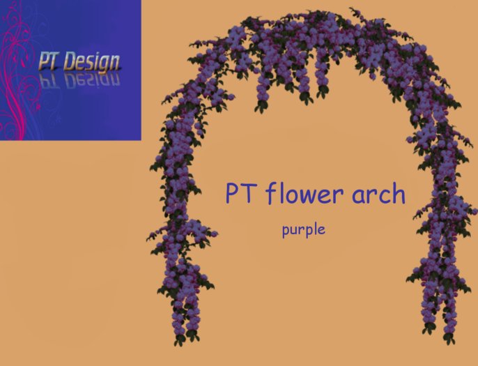 PT  flower arch (purple)