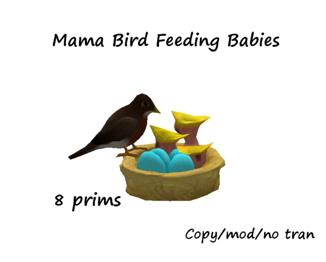 mama Bird Feeding
