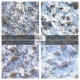 TB - SNOWY GRASS