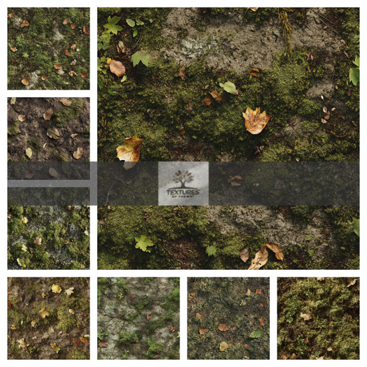TB - TERRAIN MOSSY EARTH