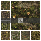TB - TERRAIN MOSSY EARTH