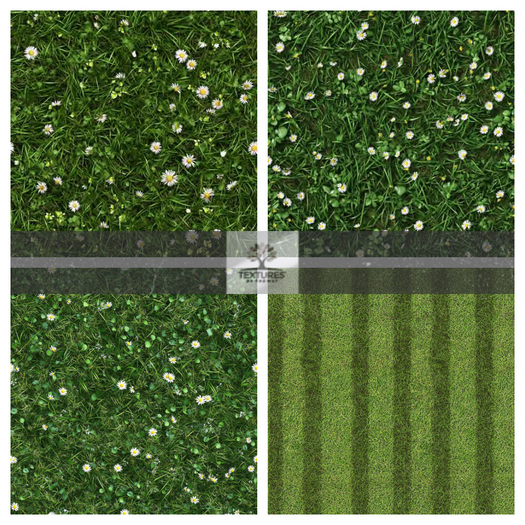 TB - GRASS LAWN SEAMLESS
