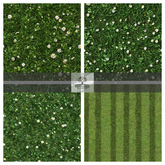 TB - GRASS LAWN SEAMLESS