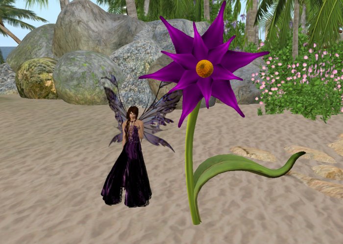 Hang out Fairy-flower  50% discount NOW