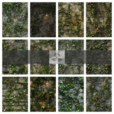 TB - COTTAGE WALLS FOLIAGE