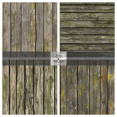 TB - MOSSY WOOD PLANKS