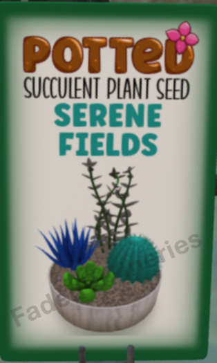 Potted: Succulent Seed: Serene Fields