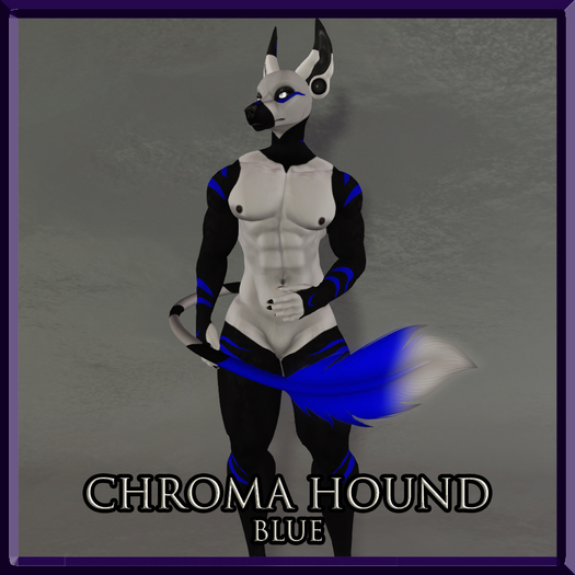 Chroma Hound Male Blue