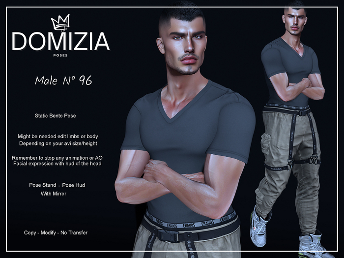 .::Domizia Poses::. - Male 96