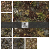 TB - TERRAIN SCOTTISH MOORLAND