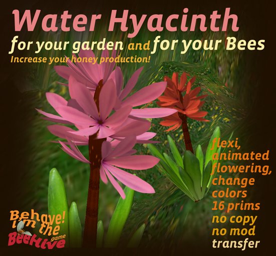 Water Hyacinth // Beehave i'm the Beehive!