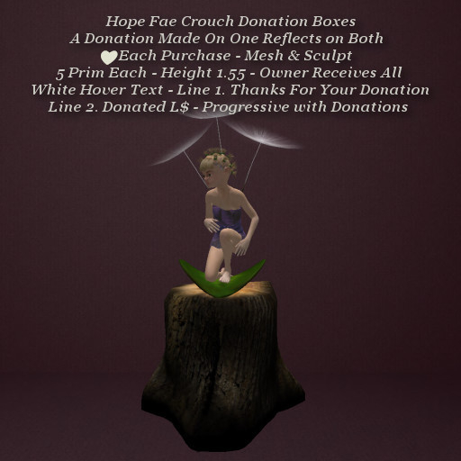Hope Fae Crouch Donation Box1