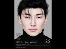 {DS} - Skin - Qin - WINTER - 2k