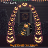 {wn} Black/Orange Pumpkin Arch (wear to unpack)