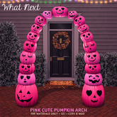 {wn} Pink Cute Pumpkin Arch (wear to unpack)