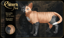 FK* Chimera ☾☾1☽☽ ☾☾BOM☽☽ ☾☾TWI Wildcat☽☽