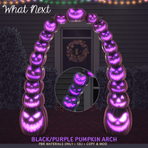 {wn} Black/Purple Pumpkin Arch (wear to unpack)