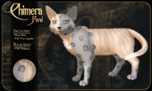 FK* Chimera ☾☾3☽☽ ☾☾BOM☽☽ ☾☾TWI Wildcat☽☽