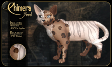 FK* Chimera ☾☾5☽☽ ☾☾BOM☽☽ ☾☾TWI Wildcat☽☽