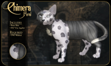 FK* Chimera ☾☾6☽☽ ☾☾BOM☽☽ ☾☾TWI Wildcat☽☽