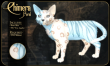 FK* Chimera ☾☾7☽☽ ☾☾BOM☽☽ ☾☾TWI Wildcat☽☽