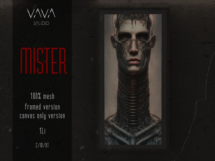 VAVA - Mister 