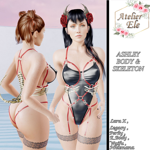 {AE}  ASHLEY BODY & HARNESS & SKELETON