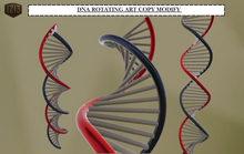 DNA Rotating Art Copy Modify