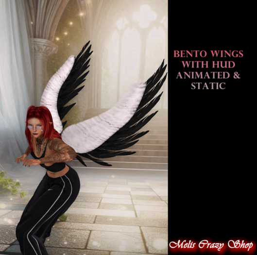 Wings Bento