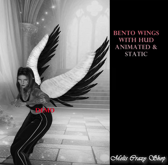 DEMO Wings Bento