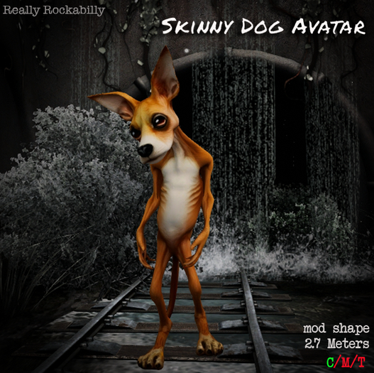 Really... Skinny Dog Avatar