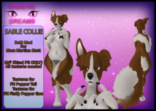 {CD} Sable Collie {Unpacker}