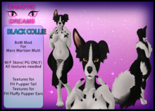 {CD} Black Collie{Unpacker}
