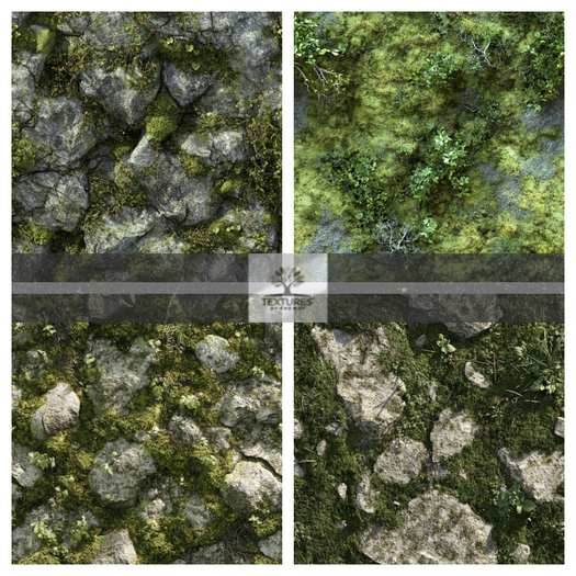 TB - ROCKY MOSS TERRAIN