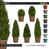 ::TA Nature Evergreen  Pack