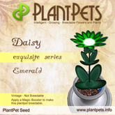 PlantPet Seed [Daisy *Emerald*] Rare Vintage