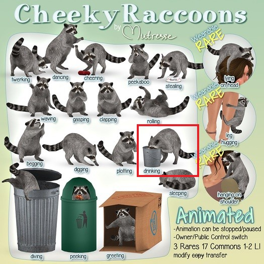 13 Mutresse-Cheeky Raccoons-Drinking