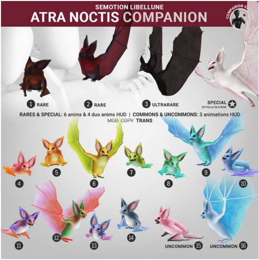 Black RARE 2 - SEmotion Libellune Atra Noctis Companion RARE 02