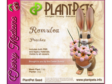 PlantPet Seed [Romulea *Peaches*]