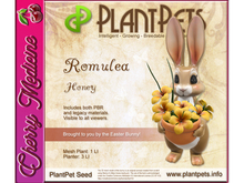 PlantPet Seed [Romulea *Honey*]