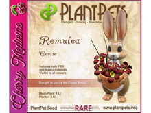 PlantPet Seed [Romulea *Cerise*]