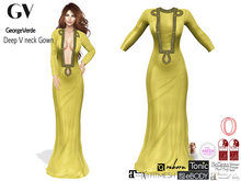 GV21859 Deep V neck Gown FITMESH