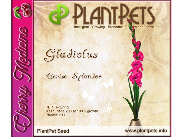PlantPet Seed [Gladiolus *Cerise Splendor*]