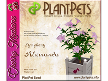 PlantPet Seed [Alamanda *Symphony*]
